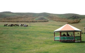 This is the guest gazebo where we had tea and played a traditional game with sheep ankle bones before suiting up for the ride!