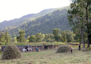 Herder and farm hands.