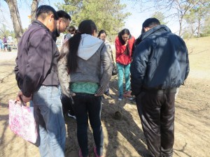 Found near the entrance, a hedgehog!